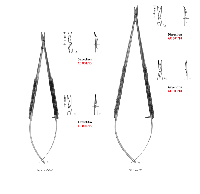 Adventitia And Dissecting Micro Scissors