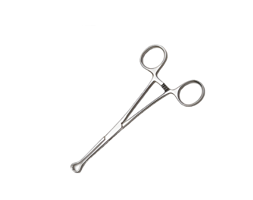Babcock Forceps 20cm