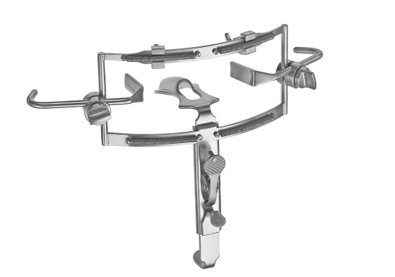 Dingmann Mouth Gag Complete Set - Josec Supplies