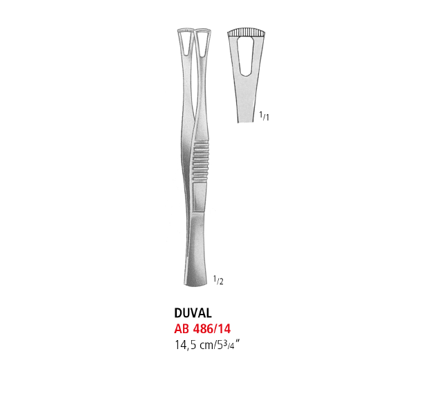 Duval Tissue Forceps