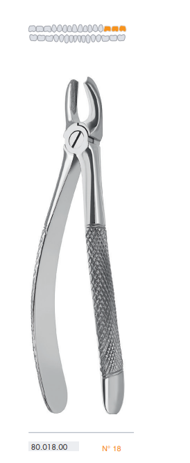 Forceps - Extracting - Josec Supplies