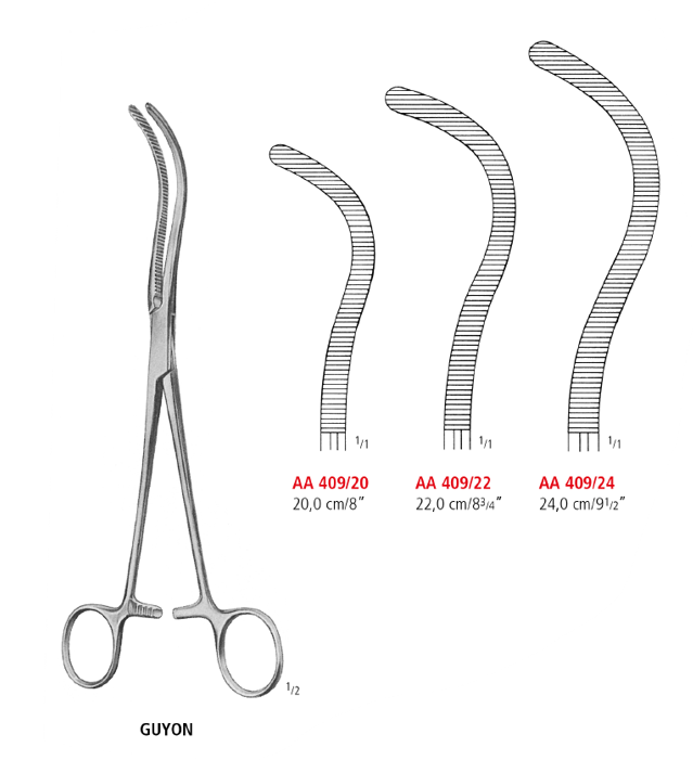 Guyon Kidney Pedicle Clamp