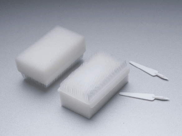 Disposable Nail Brushes