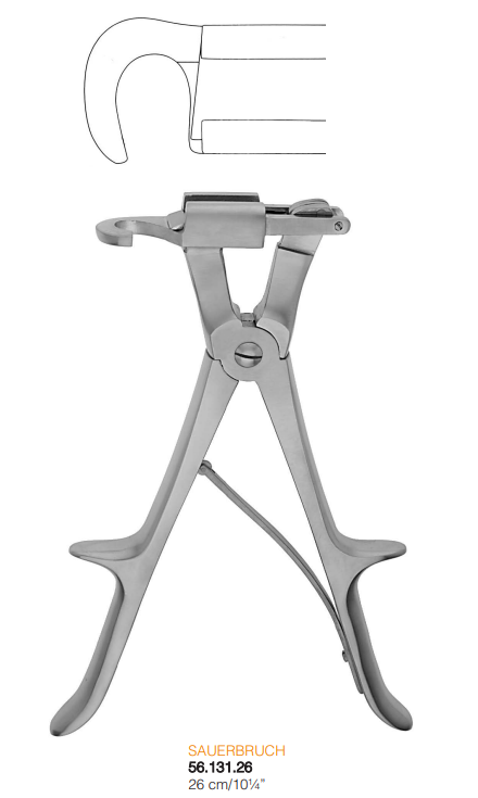 Sauerbruch Rib Shears