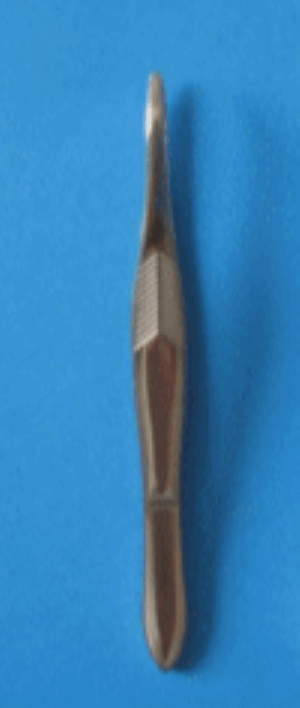 Stainless Steel Budget Forceps