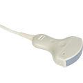 Convex Probe For Ultrasound For Animals