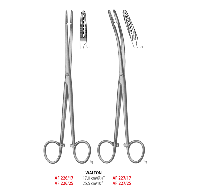 Walton Polypus Forceps