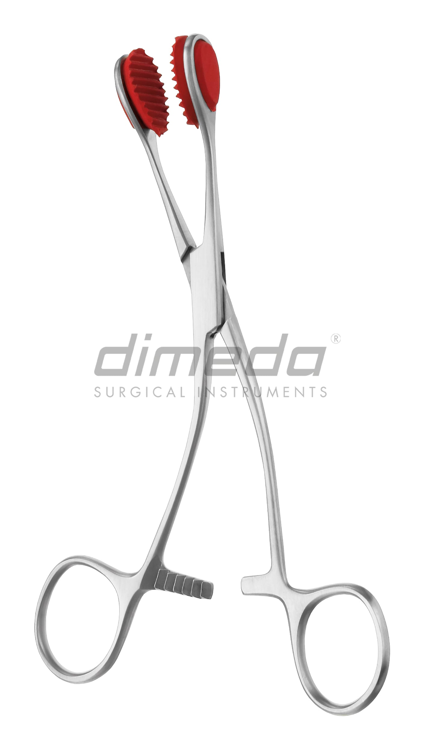 Young Tongue Holding Forceps - Josec Supplies