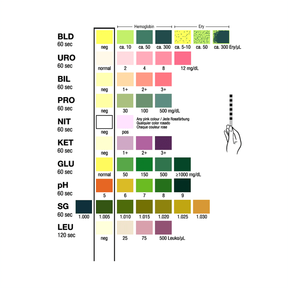Test-It™ 10 Urine Test Strips - Josec Supplies