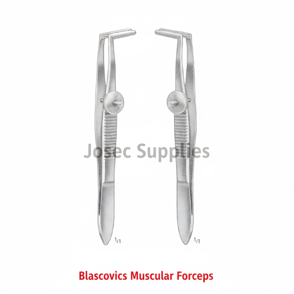 Blascovics Muscular Forceps