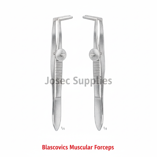 Blascovics Muscular Forceps