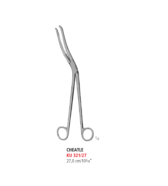 Cheatle Sterilizing Forceps