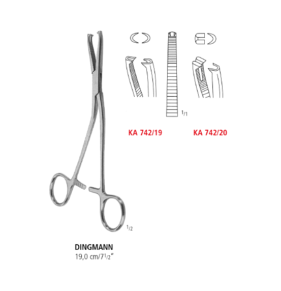Dingmann Cartilage Seizing Forceps