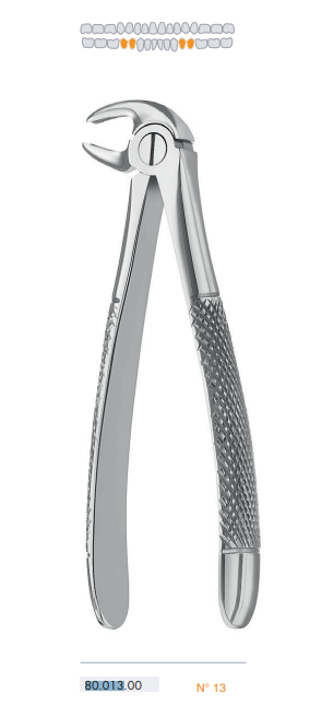 Forceps - Extracting - Josec Supplies