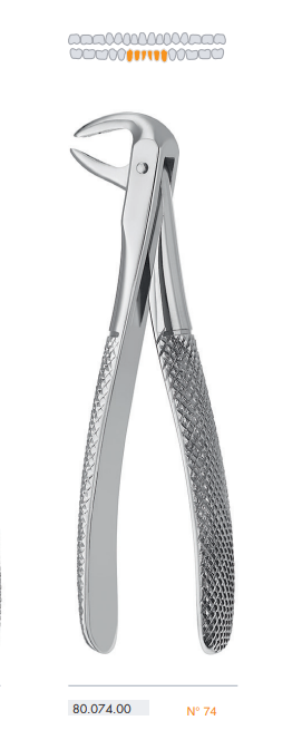 Forceps - Extracting - Josec Supplies