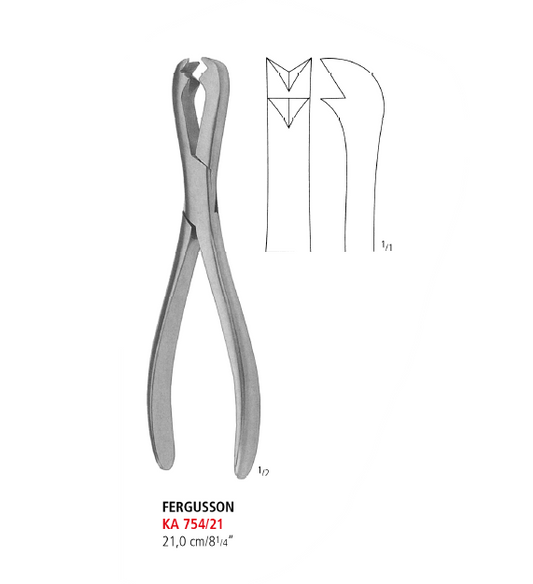 Fergusson Bone Holding Forceps