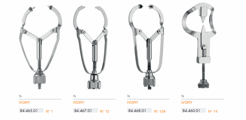 Ivory Matrix Retainers From 817.65 @Josec Supplies