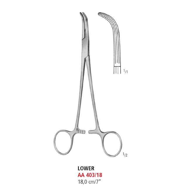 Lower Artery Forceps