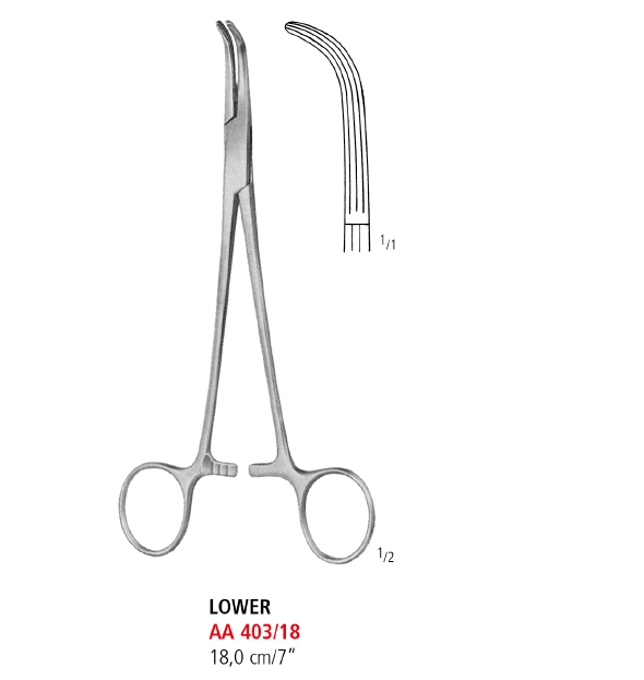 Lower Artery Forceps