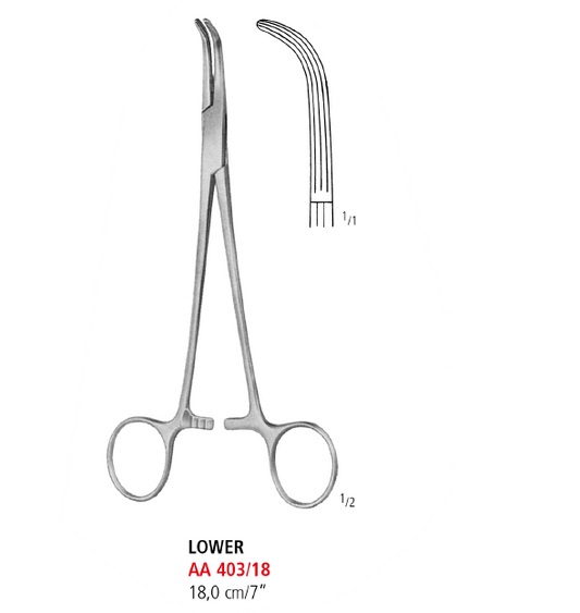 Lower Artery Forceps