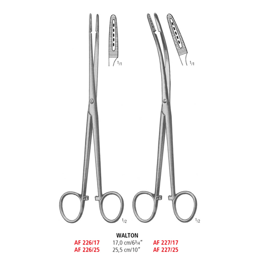 Walton Polypus Forceps