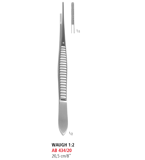 Waugh Dissecting Forceps