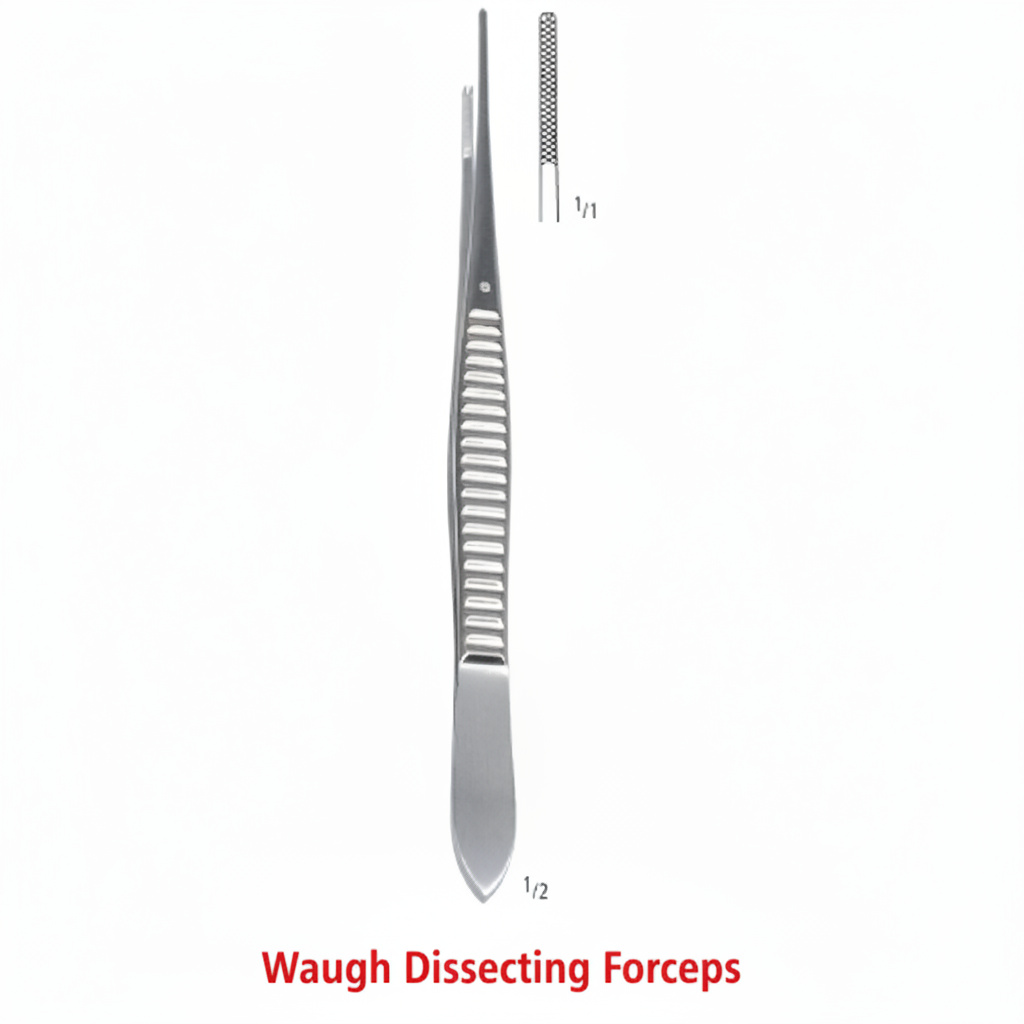 Waugh Dissecting Forceps