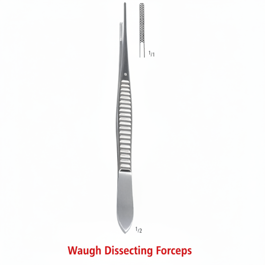 Waugh Dissecting Forceps