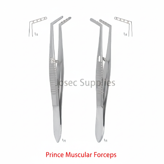 Prince Muscular Forceps